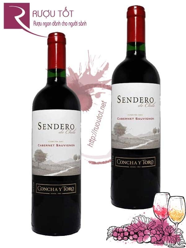 Vang Chile Concha Y Toro Sendero Cabernet Sauvignon Hảo hạng