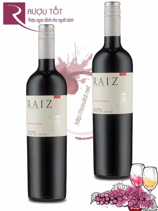 Vang Chile Raiz Cabernet Sauvignon Thượng hạng