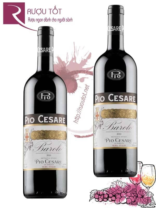 Vang Ý Pio Cesare Barolo