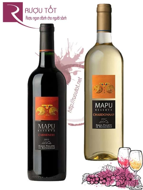 Vang Chile Mapu Reserva Red - White