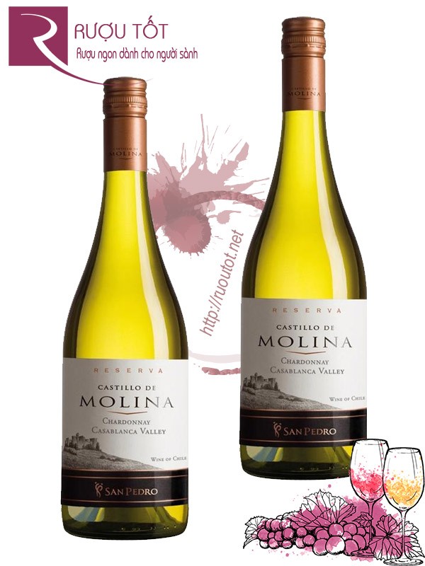 Vang Chile Castillo de Molina Reserva Chardonnay