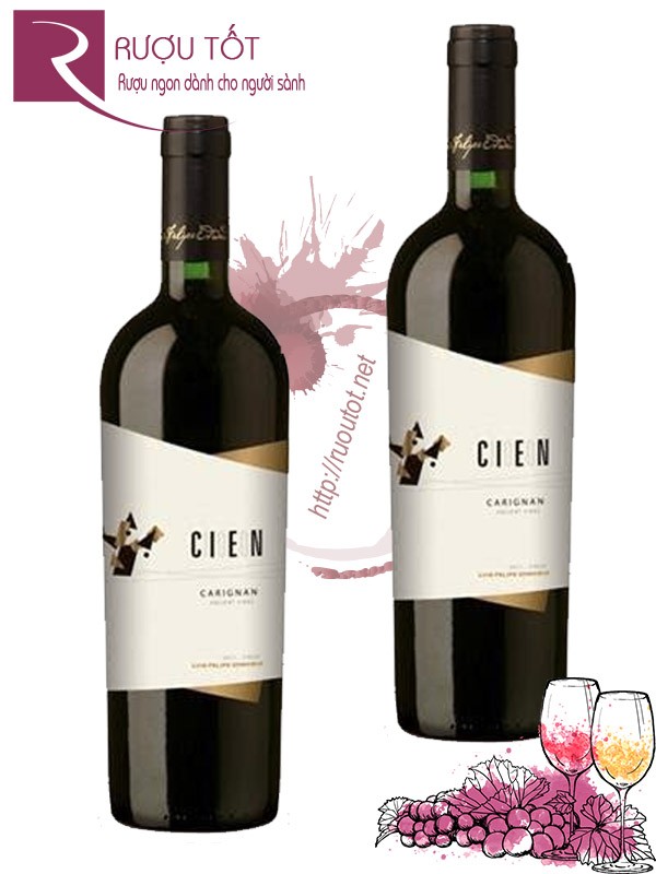 Vang Chile Cien 100 Carignan Thượng hạng