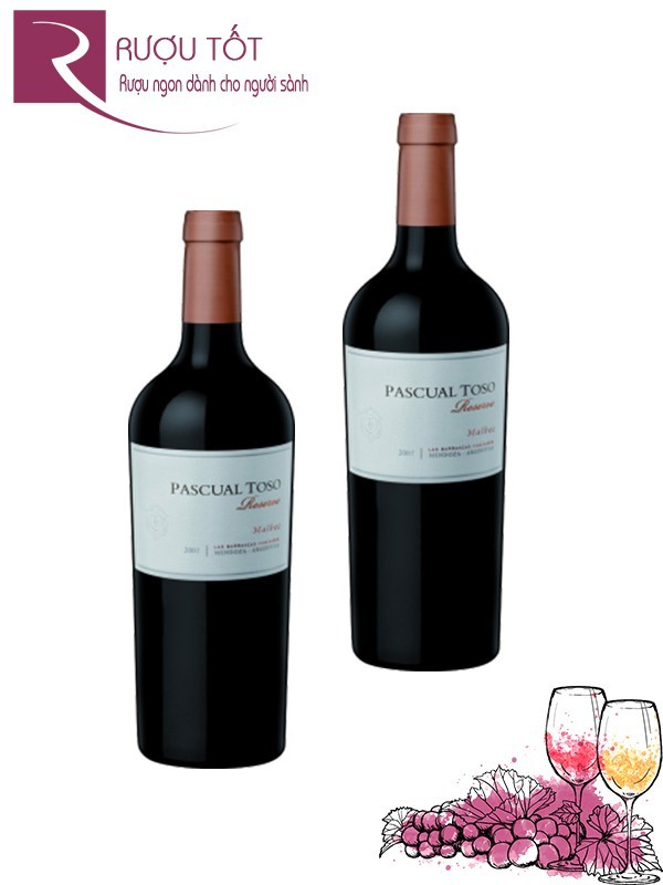 Rượu vang Pascual Toso Malbec Reserve Mendoza Hảo hạng