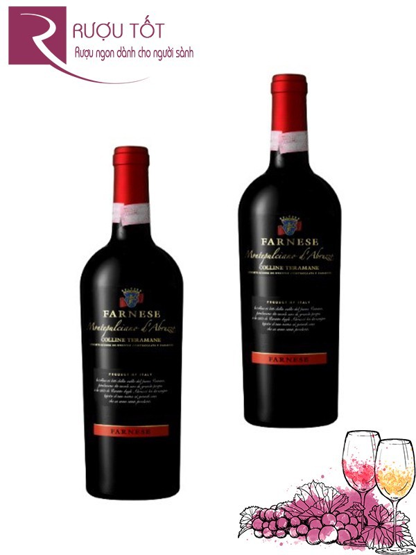 Vang Ý Colline Teramane Farnese Montepulciano DAbruzzo Cao cấp