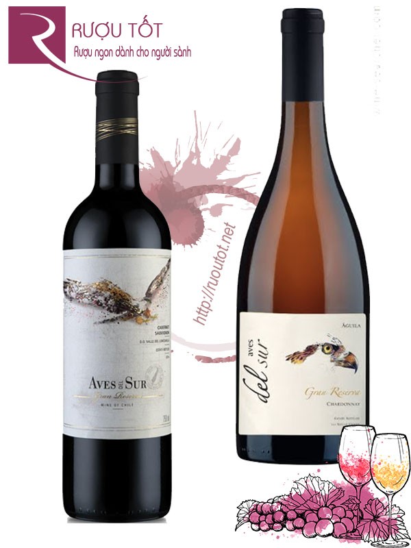 Rượu Vang Aves del Sur Gran Reserva Red - White