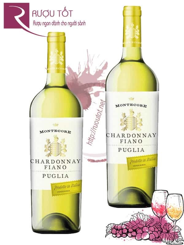 Vang Ý Chardonnay Fiano Montecore IGP Thượng hạng