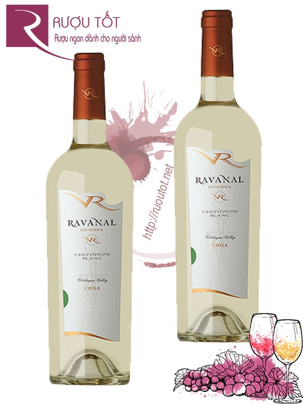 Vang Chile Ravanal Reserva Sauvignon Blanc đặc biệt