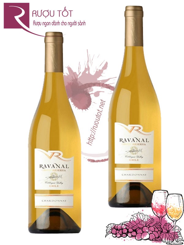 Vang Chile Ravanal Gran Reserva Chardonnay Thượng hạng