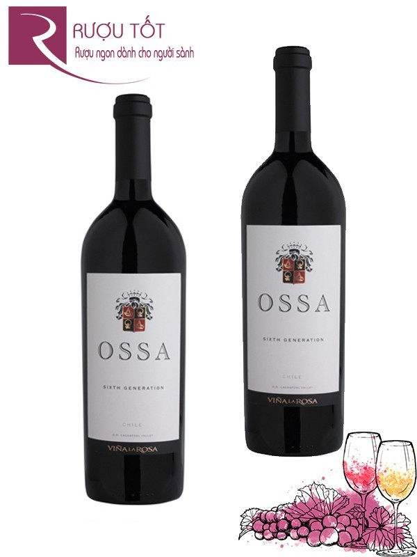 Rượu Vang Ossa Icon Wine 2007 Thượng hạng