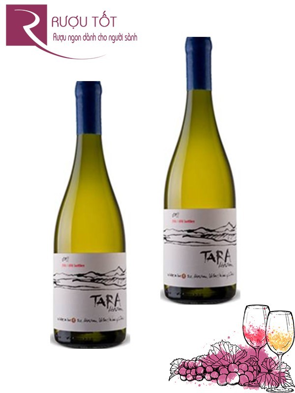 Vang Chile Tara Atacama Chardonnay Thượng hạng