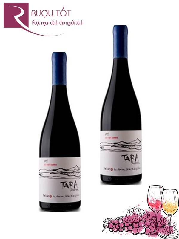 Vang Chile Tara Atacama Pinot Noir Thượng hạng