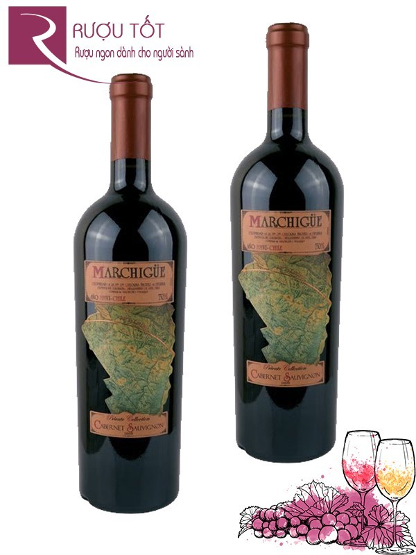 Vang Chile Marchigue Cabernet Sauvignon Colchagua Valley Cao cấp