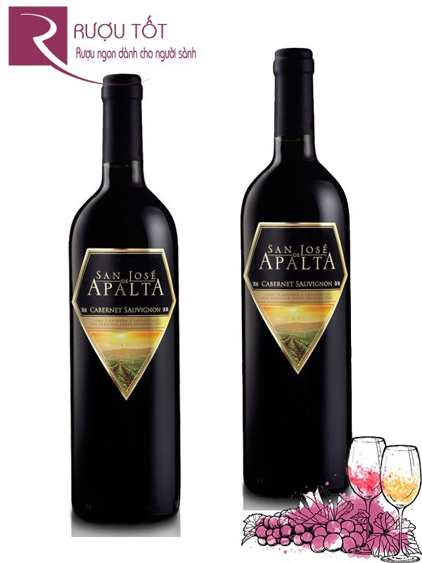 Vang Chile Apalta Tradition Cabernet Sauvignon Cao cấp