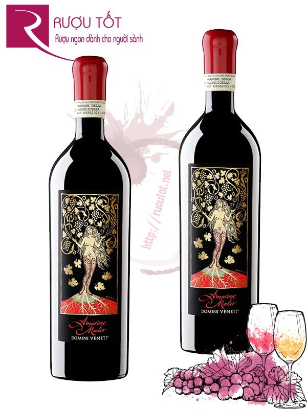 Rượu Vang Amarone Mater Premium