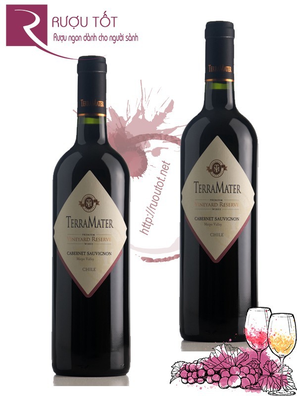 Vang Chile Terramater Vineyard Reserve Cabernet/Carmenere