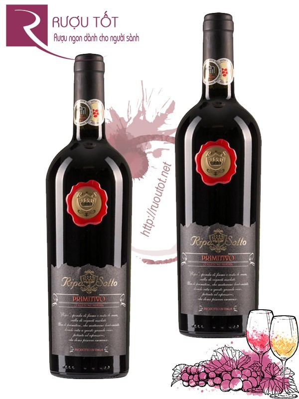 Vang Ý Ripa Di Sotto Primitivo Collezione Privata Cao cấp