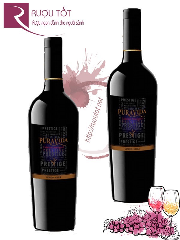 Vang Chile SYN Puravida Cabernet Sauvignon