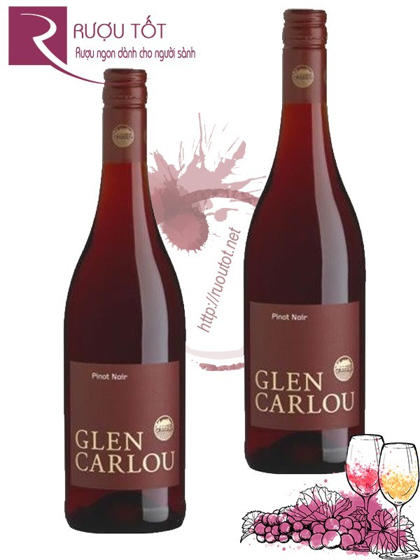 Vang Nam Phi Classique Glen Carlou Pinot Noir