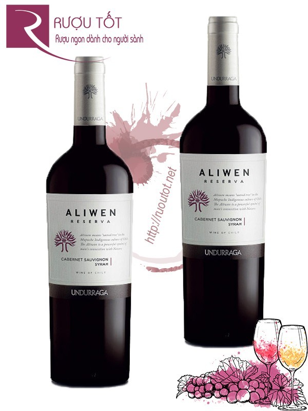 Vang Chile Undurraga Aliwen Reserva Cabernet Sauvignon - Syrah