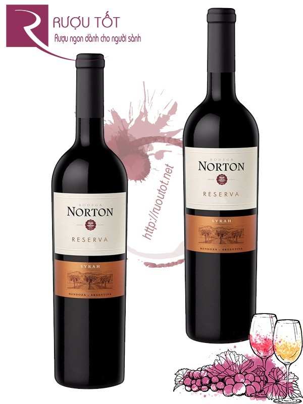 Rượu Vang Norton Reserva Syrah Bodega