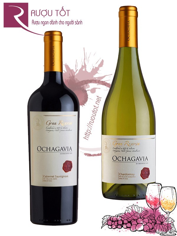 Vang Chile Ochagavia Gran Reserva (red - white)