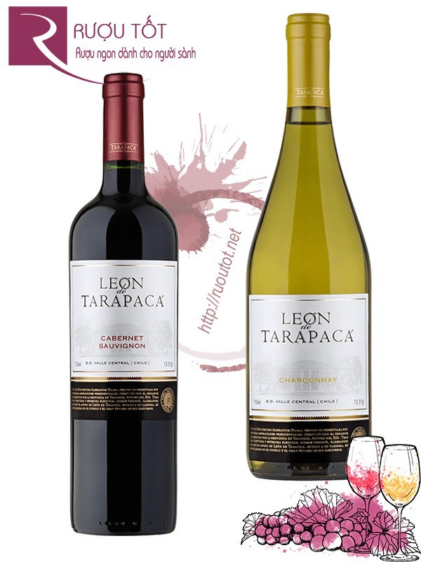 Vang Chile Leon de Tarapaca (red – white) Thượng hạng