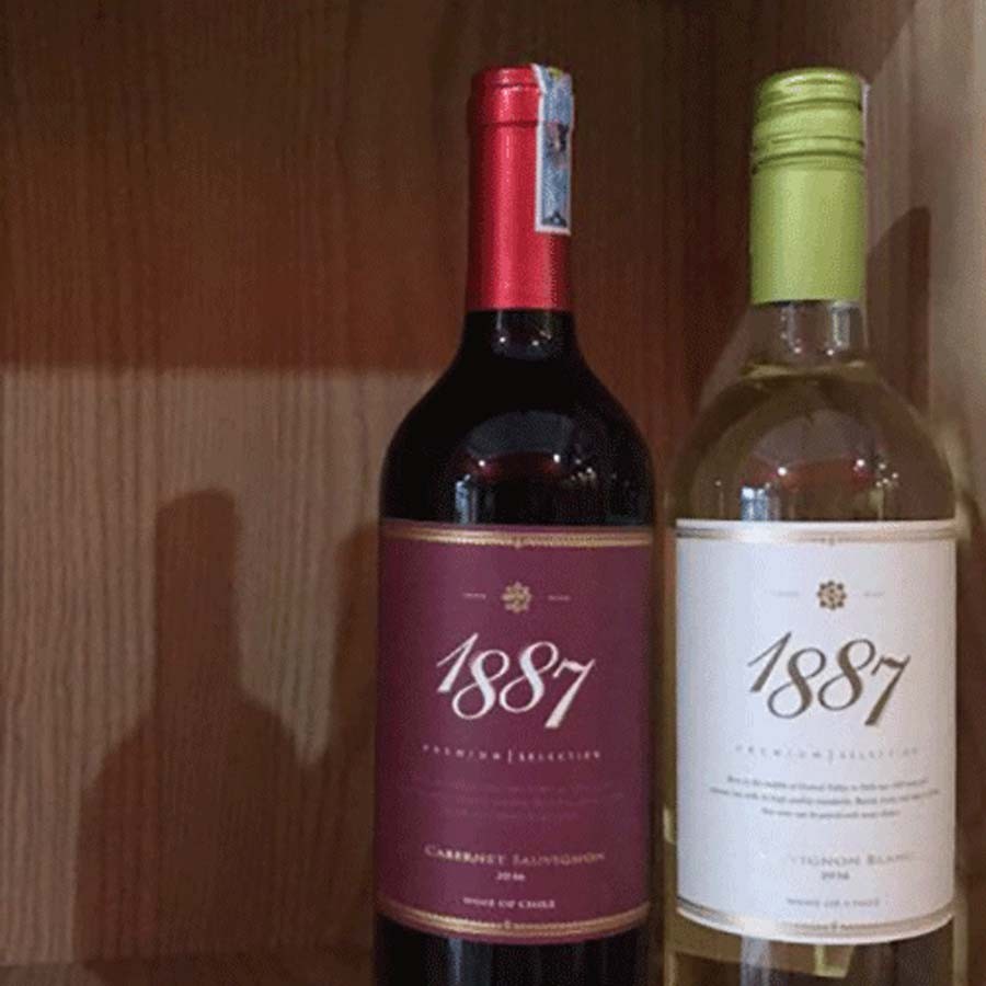 Vang Chile 1887 Sauvignon Đỏ - Trắng