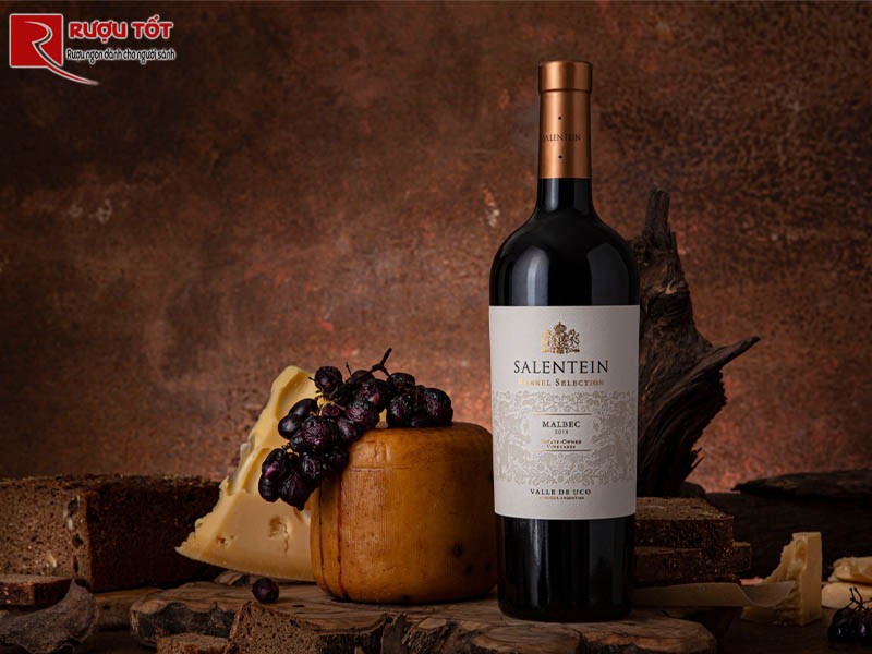 Rượu vang salentein malbec