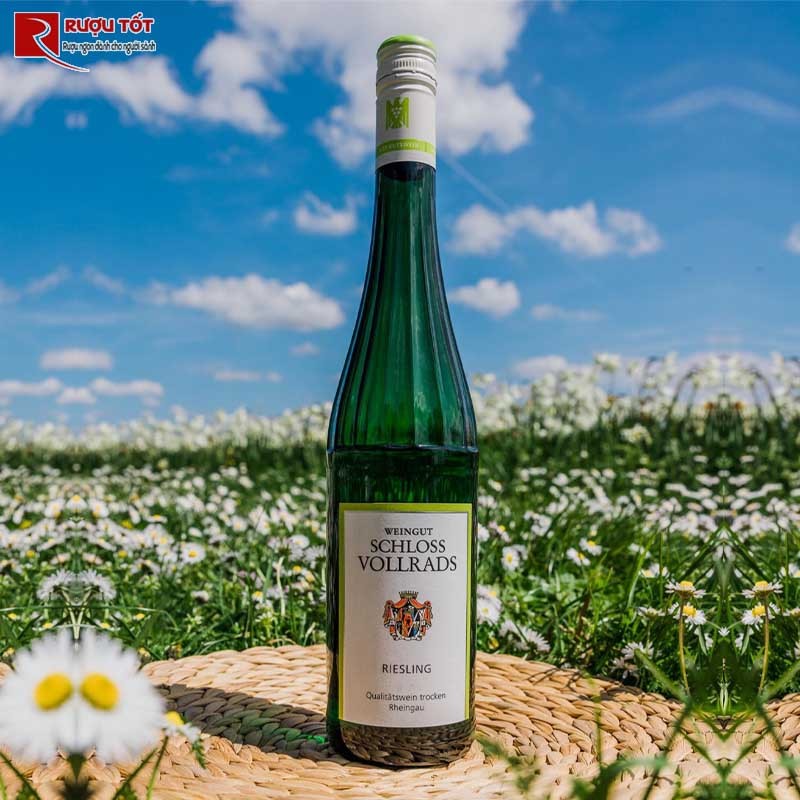 Rượu vang Đức Schloss Vollrads Riesling