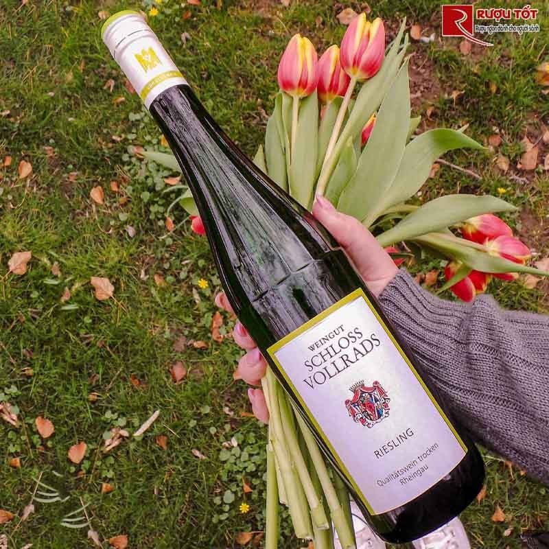 Vang Đức Schloss Vollrads Riesling