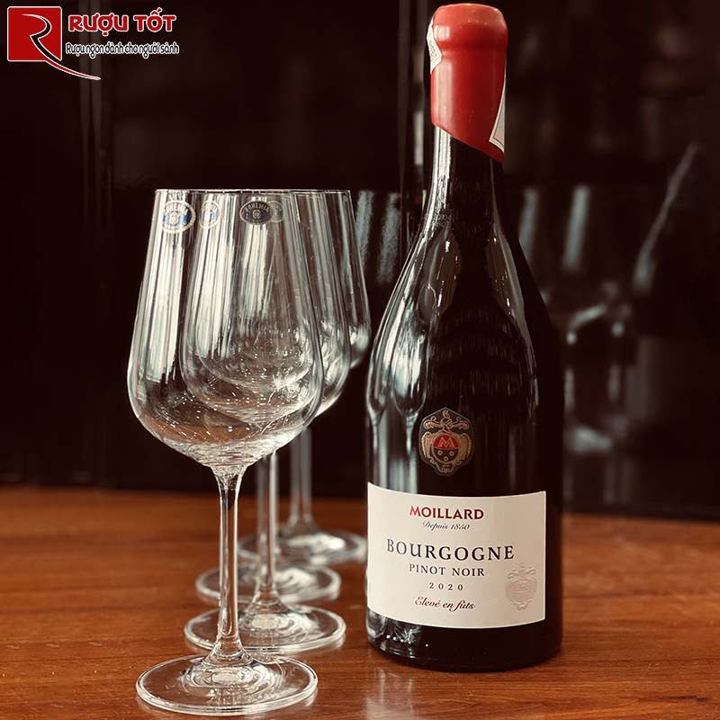 Rượu Bourgogne