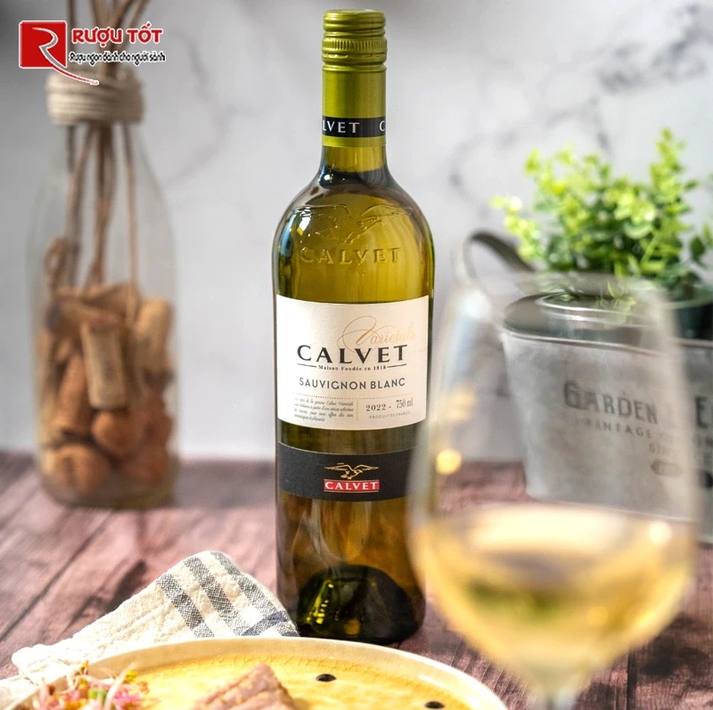 Rượu Calvet Sauvignon Balnc