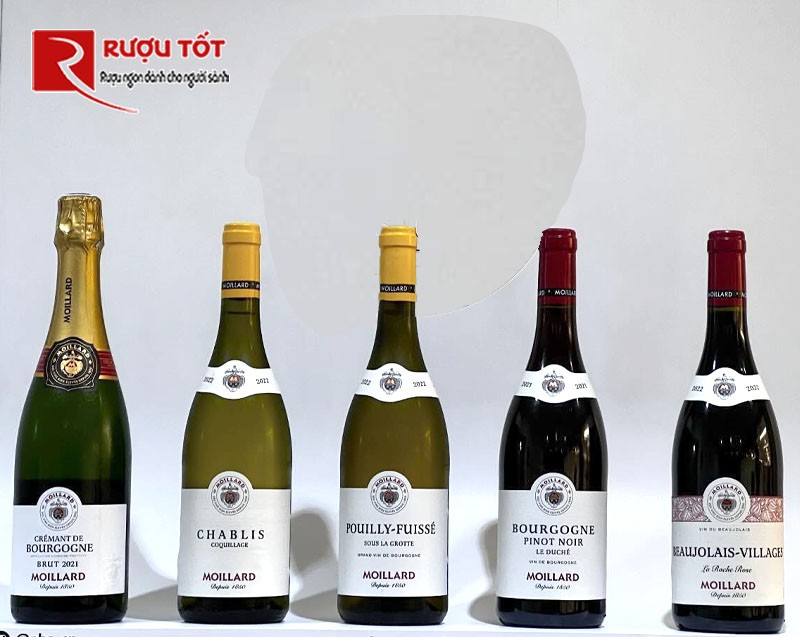 Rượu Moillard Pouilly