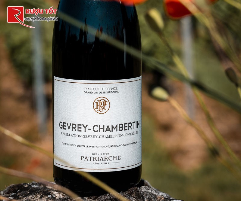 Rượu Patriarche Gevrey Chambertin