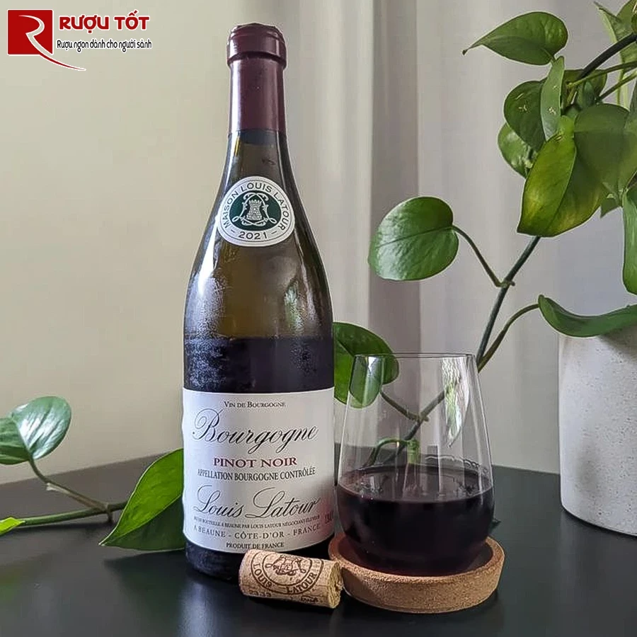 Rượu vang Bourgogne Pinot noir