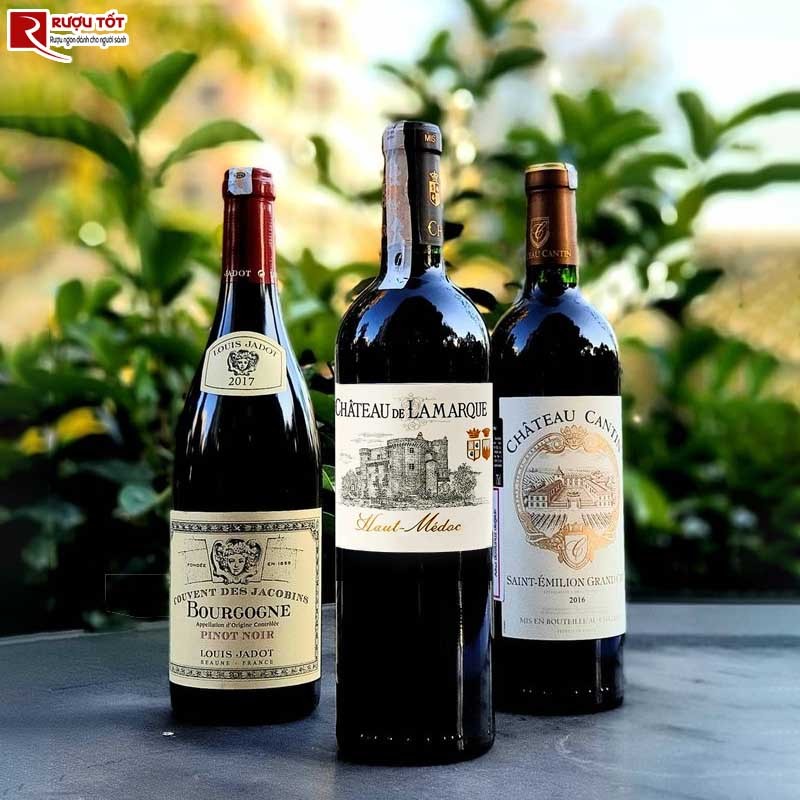 Rượu vang Chateau De Lamarque Haut Medoc