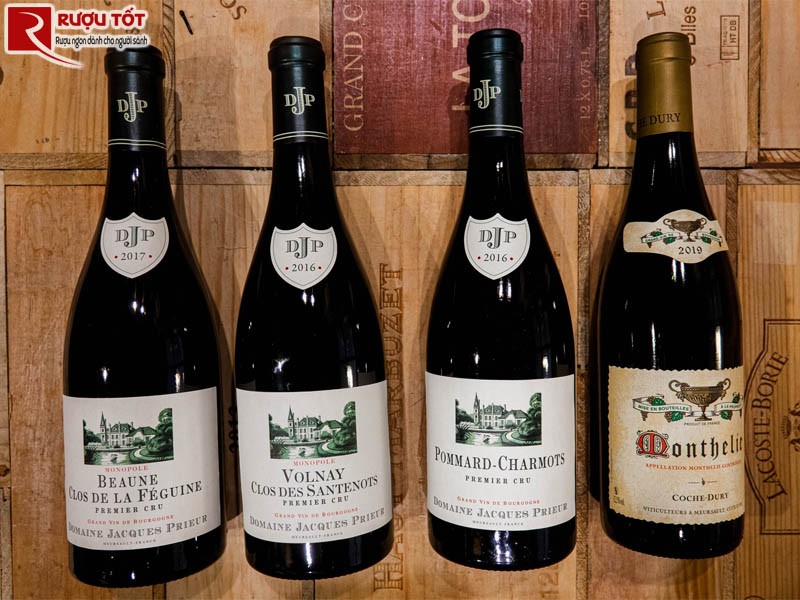 Rượu vang Domaine Jacques Prieur