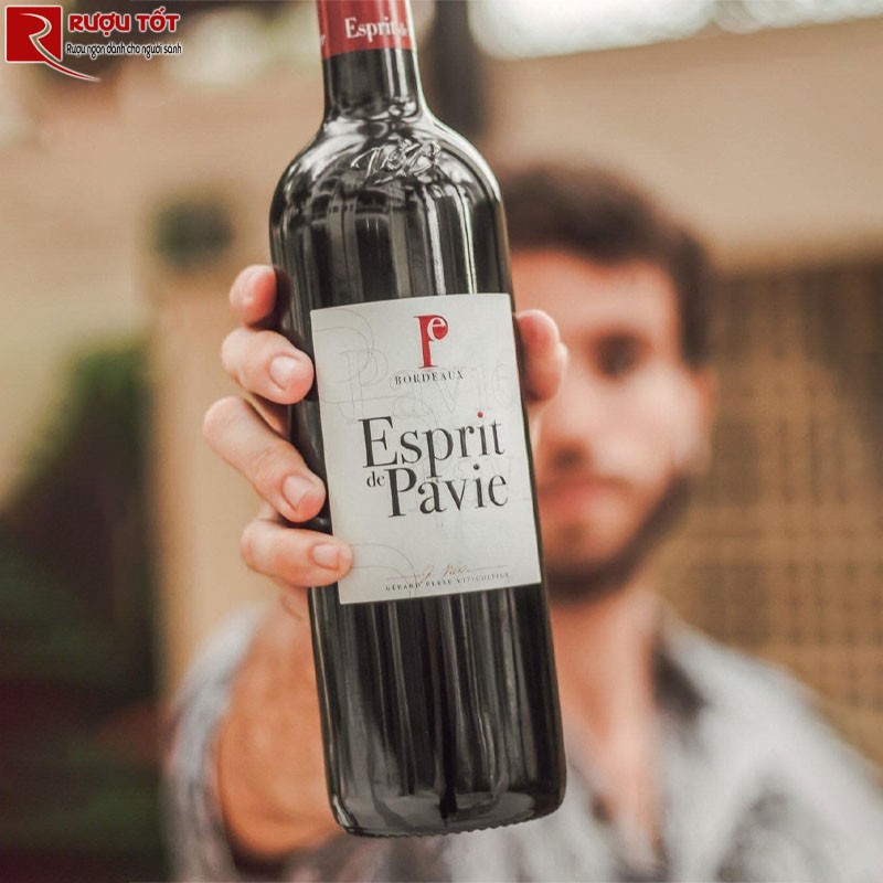 Rượu vang Esprit de Pavie