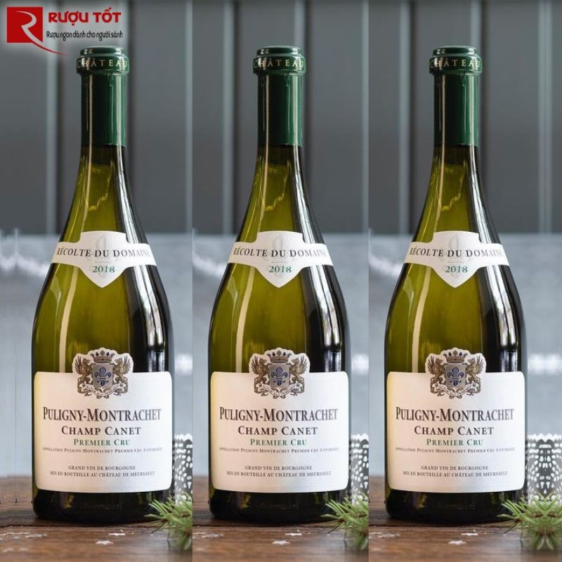 Rượu vang Pháp Champ Canet Puligny Montrachet