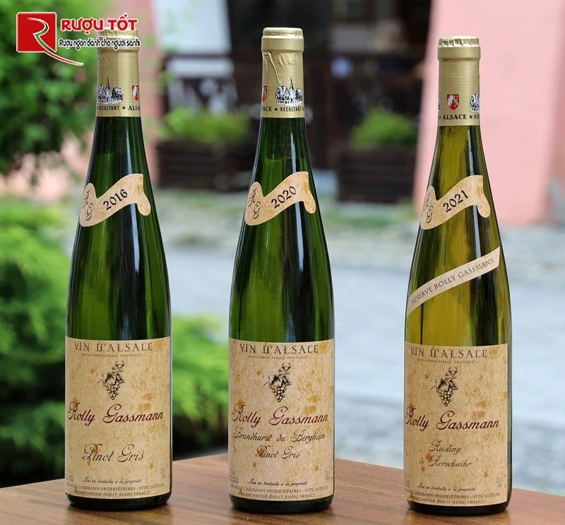 Rượu vang Rolly Gassmann Riesling