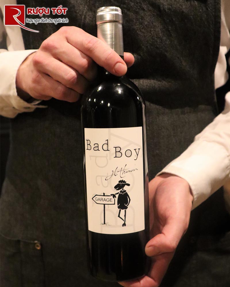 Vang Pháp Thunevin Bad Boy Bordeaux