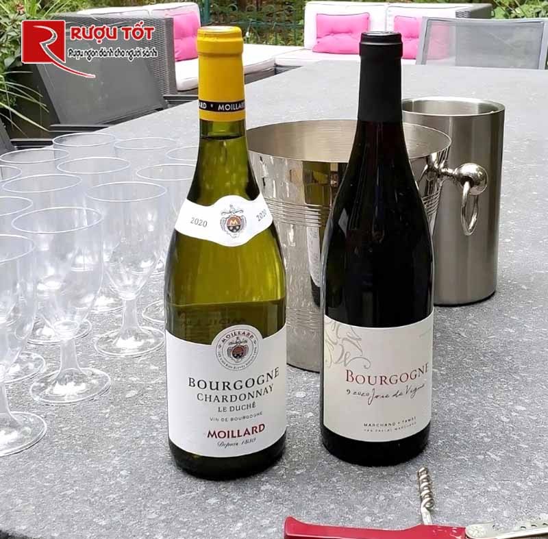 Vang trắng Moillard Bourgogne Chardonnay