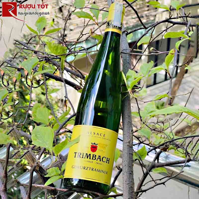 Vang Trimbach Gewurztraminer Alsace