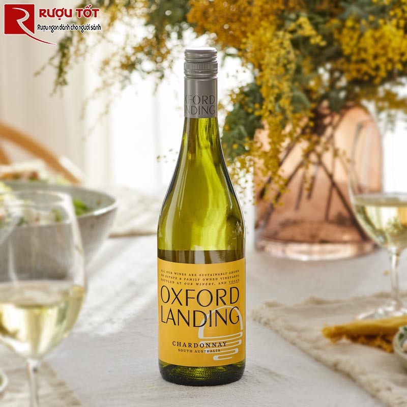 Oxford Landing Chardonnay