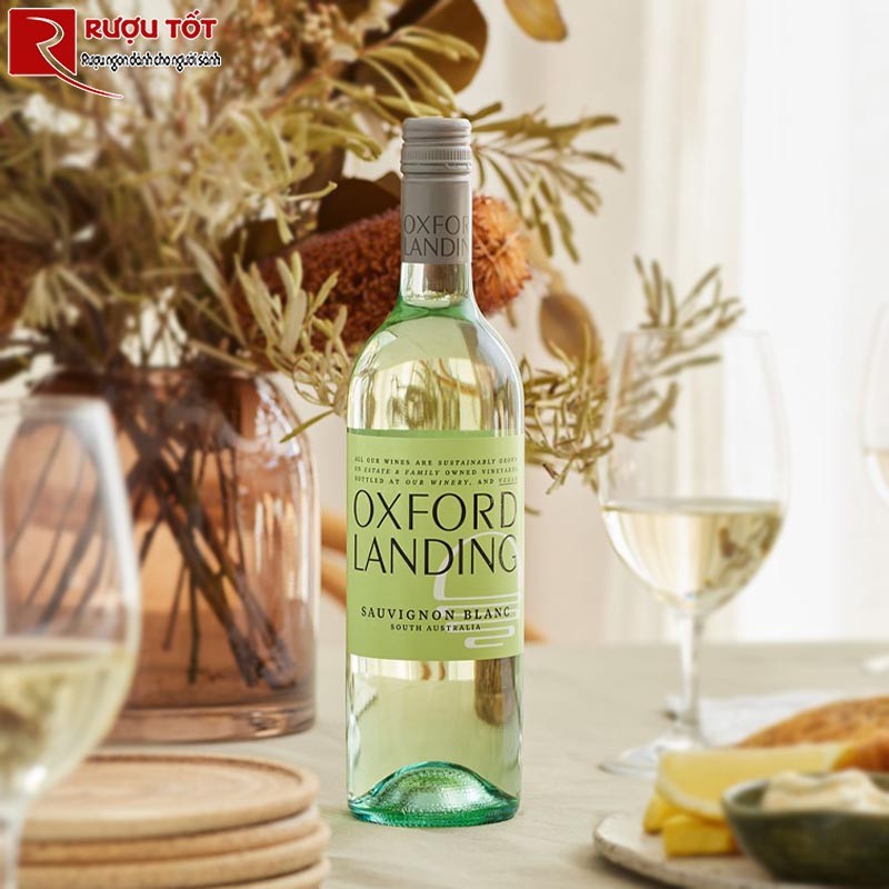 Oxford Landing Sauvignon Blanc