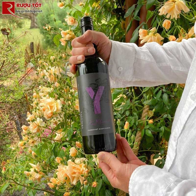 Rượu vang Yalumba Y Series Cabernet Sauvignon