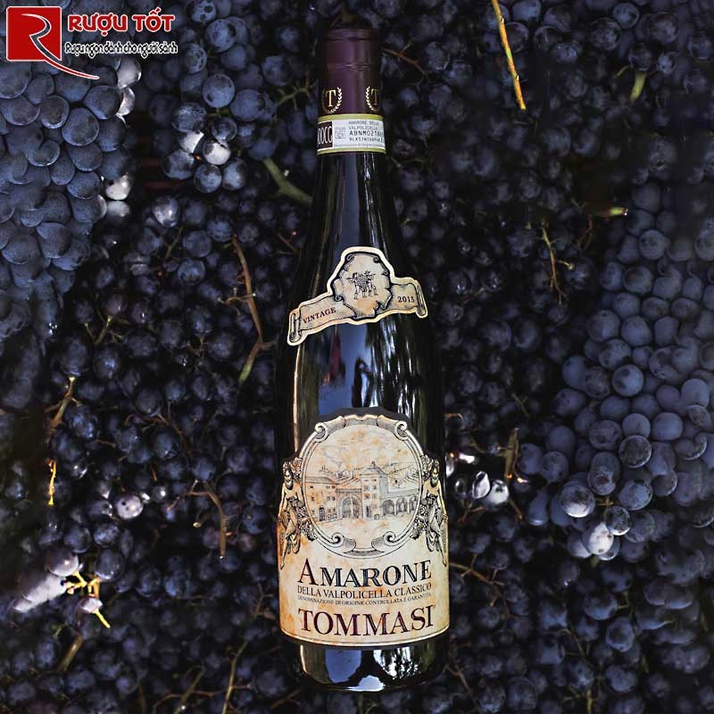 Amarone Tommasi