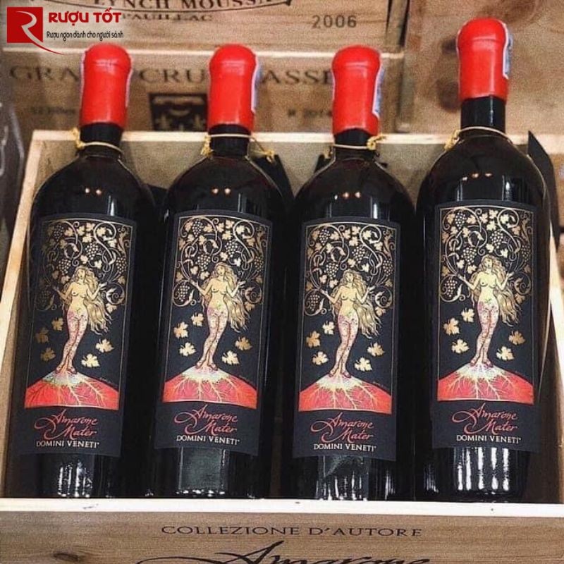 Rượu vang Amarone Mater