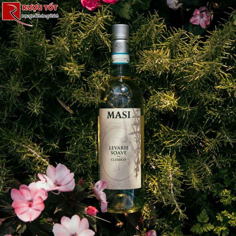 Rượu vang Masi Soave Levarie