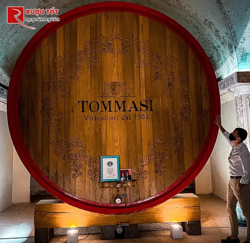 Rượu vang Tommasi Valpolicella-2